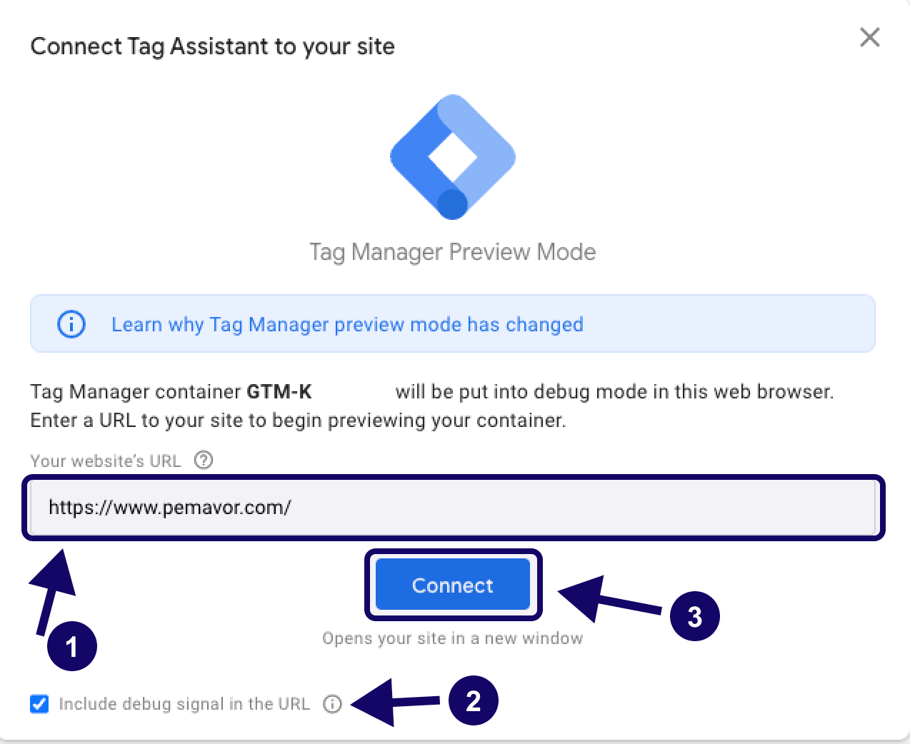 GTM Debug (Google Tag Manager preview mode)